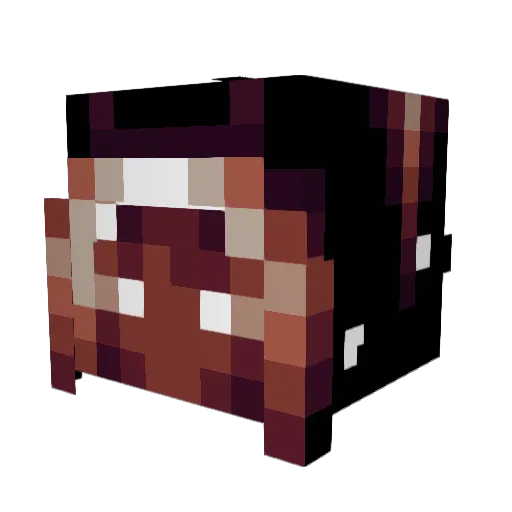 natpokey Minecraft avatar head, 3D render