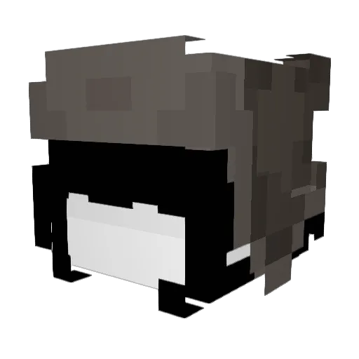 natr0cks Minecraft avatar head, 3D render