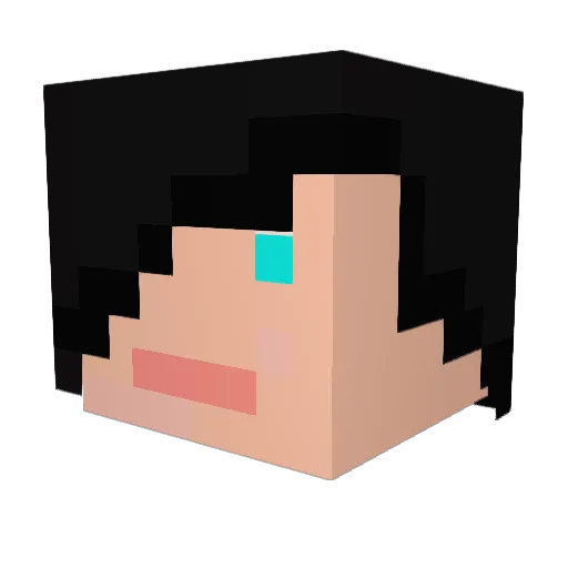 natrac16 Minecraft avatar head, 3D render