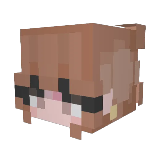 natsplayin Minecraft avatar head, 3D render