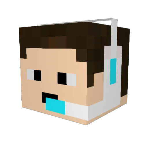 nattybee Minecraft avatar head, 3D render