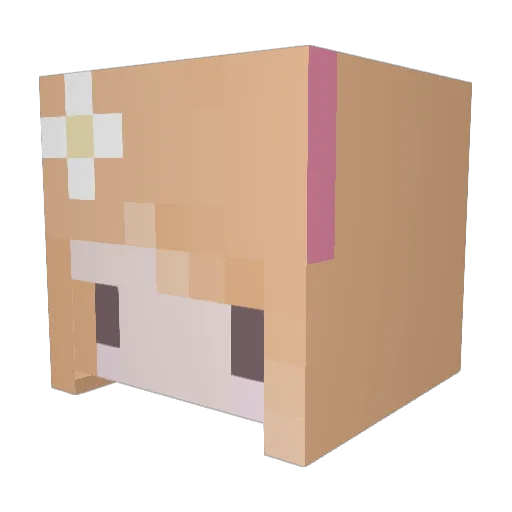 nattypoopoopants Minecraft avatar head, 3D render