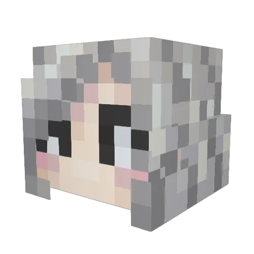 nattyratty413 Minecraft avatar head, 3D render