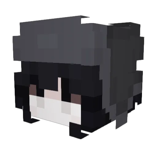 naturechewsonme Minecraft avatar head, 3D render