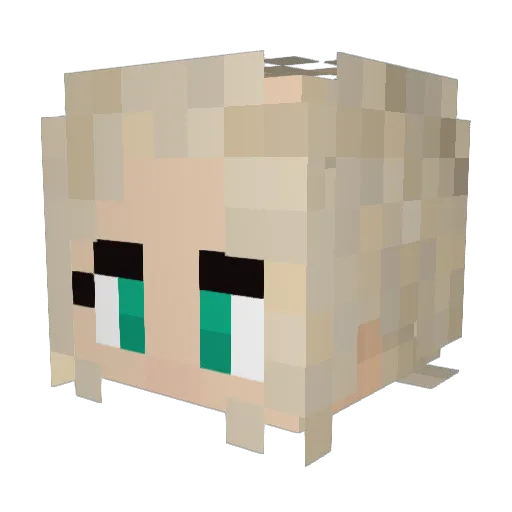 naturelover1341 Minecraft avatar head, 3D render