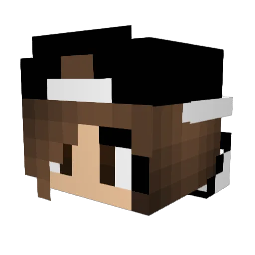 naturelover398 Minecraft avatar head, 3D render