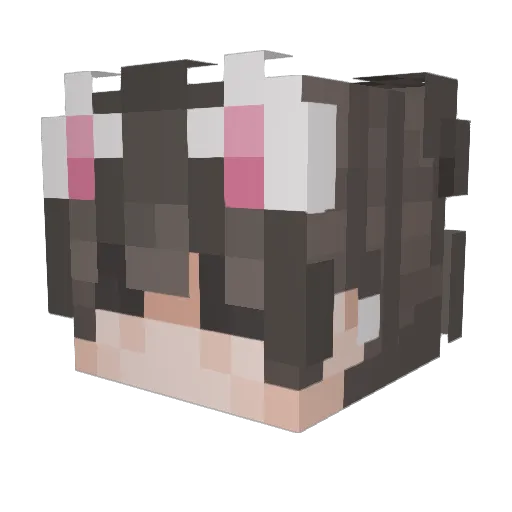 natw0092 Minecraft avatar head, 3D render