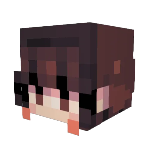 naughtypancakes Minecraft avatar head, 3D render