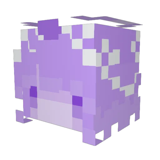 nautelle Minecraft avatar head, 3D render