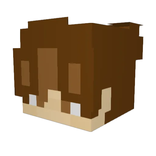 nauvlad Minecraft avatar head, 3D render