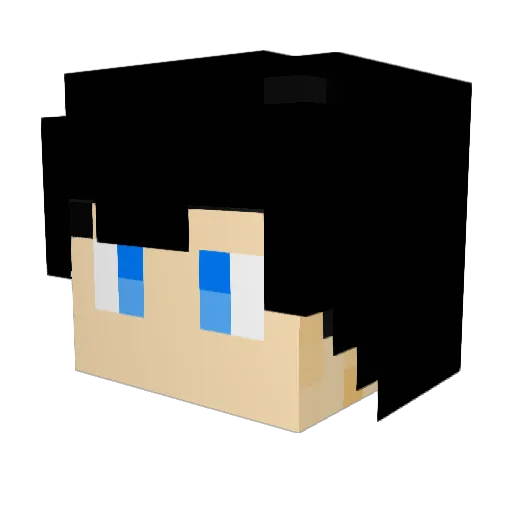 navid_nd Minecraft avatar head, 3D render