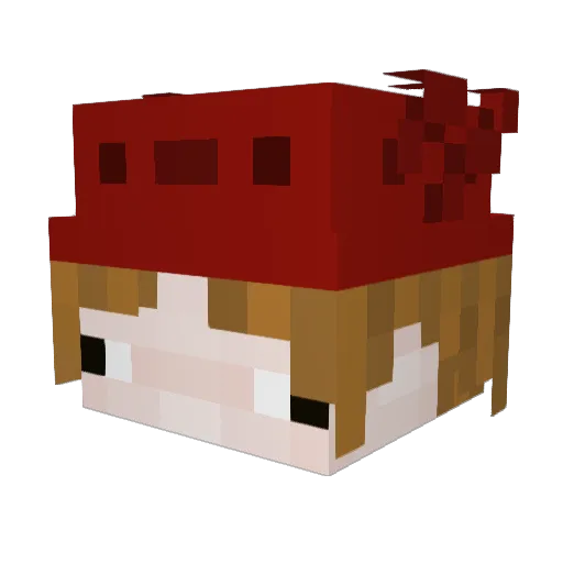 navke Minecraft avatar head, 3D render