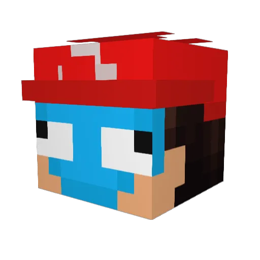 nax2137 Minecraft avatar head, 3D render