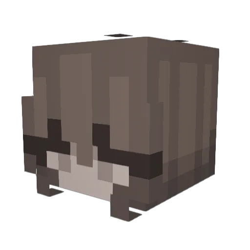 naxiaq Minecraft avatar head, 3D render