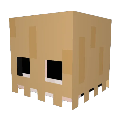 naxitoidk Minecraft avatar head, 3D render