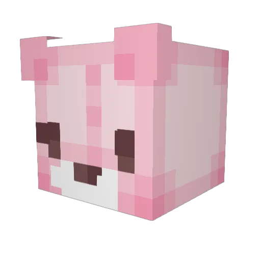 nayanax Minecraft avatar head, 3D render