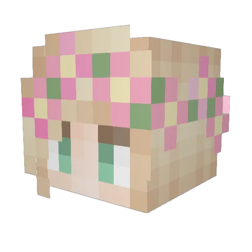 nayanyc Minecraft avatar head, 3D render