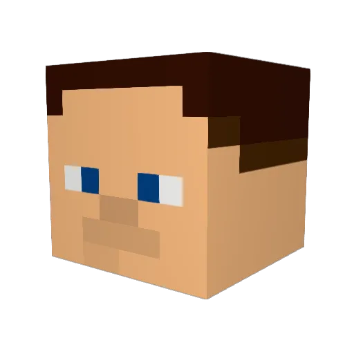 naybon1996 Minecraft avatar head, 3D render