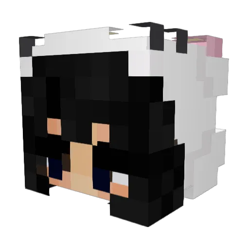 nayelimer4 Minecraft avatar head, 3D render