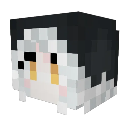 nayeon0212 Minecraft avatar head, 3D render