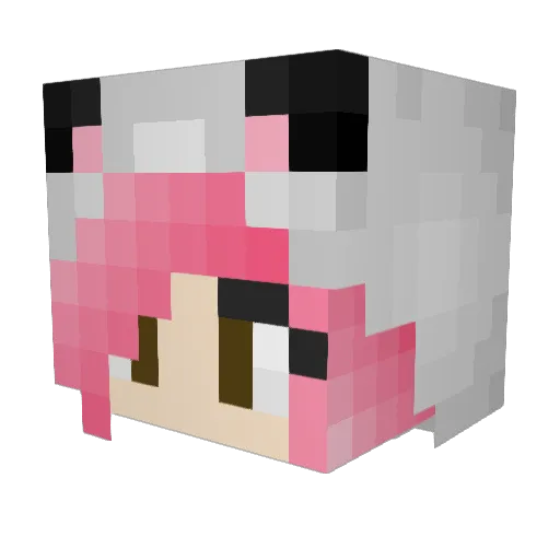 naylanicole Minecraft avatar head, 3D render