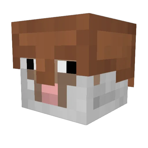 naz5 Minecraft avatar head, 3D render