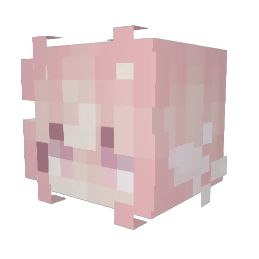 nazunyanss Minecraft avatar head, 3D render