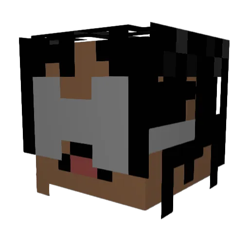 nb3w Minecraft avatar head, 3D render