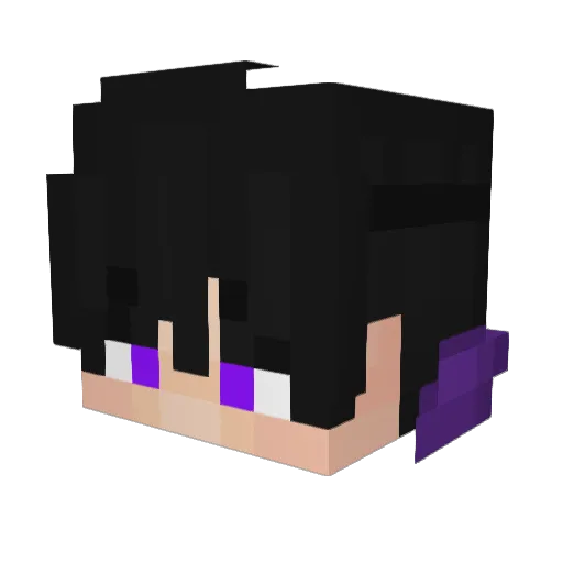 nbb223 Minecraft avatar head, 3D render