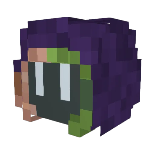 nbsf Minecraft avatar head, 3D render