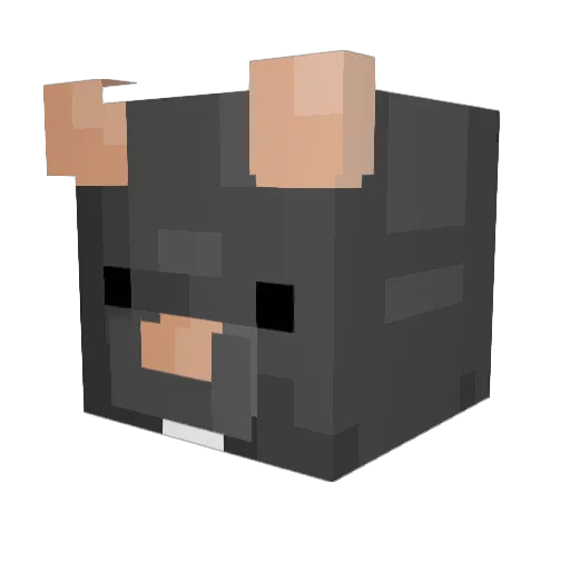 nbvm Minecraft avatar head, 3D render