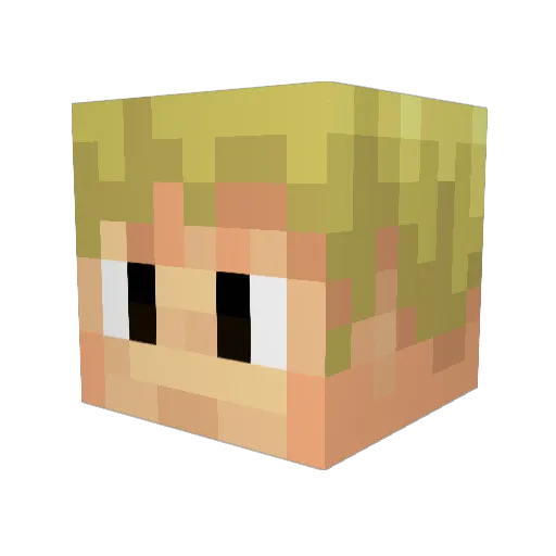 nc64259 Minecraft avatar head, 3D render