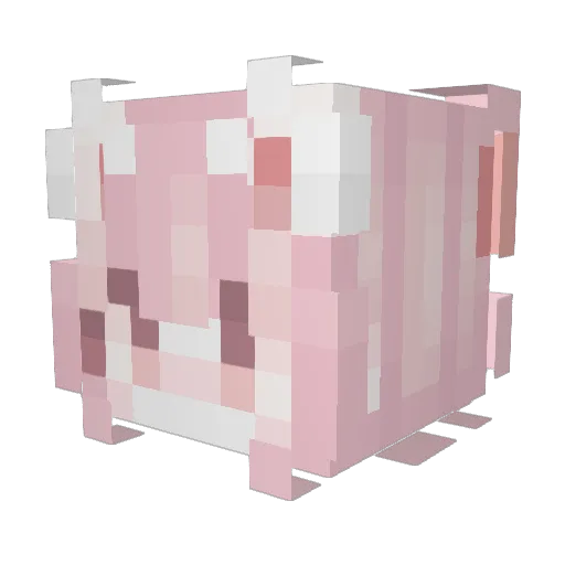 nc_xiaoyi Minecraft avatar head, 3D render
