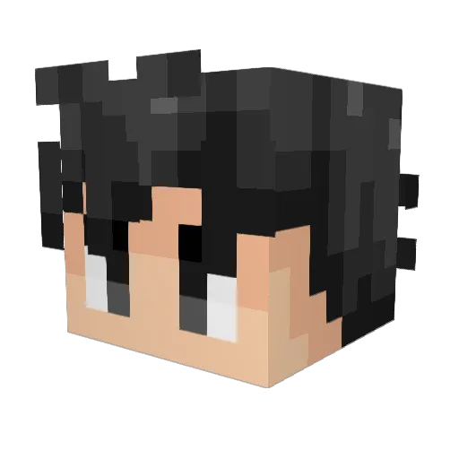ncdrmsz Minecraft avatar head, 3D render