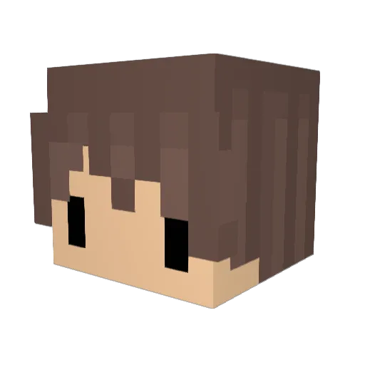 ncity Minecraft avatar head, 3D render