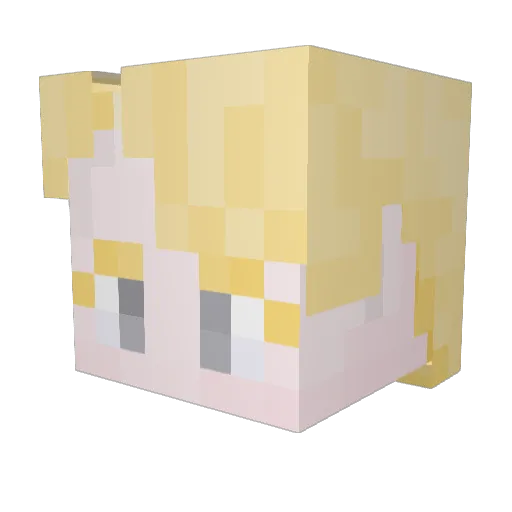 ncnrator Minecraft avatar head, 3D render