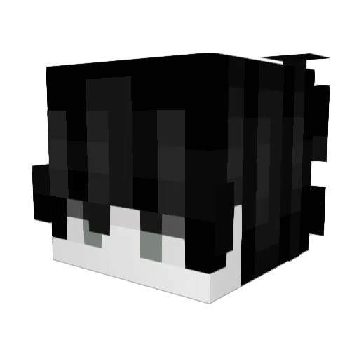 ncrthside Minecraft avatar head, 3D render