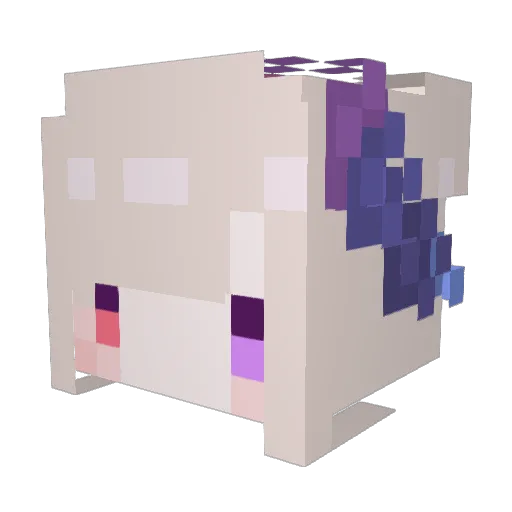 ncteqa1689 Minecraft avatar head, 3D render