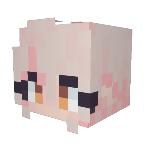 ncwo5 Minecraft avatar head, 3D render