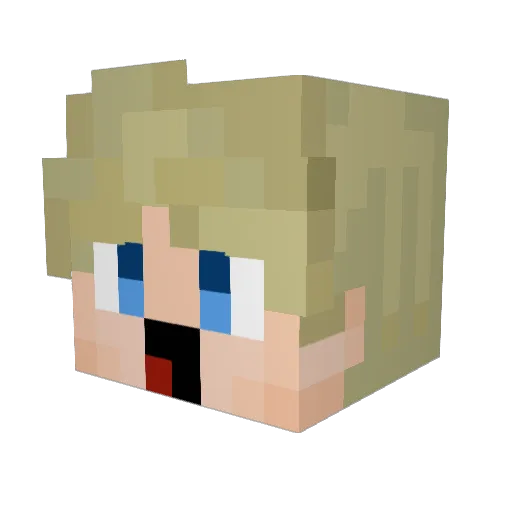 ndih Minecraft avatar head, 3D render