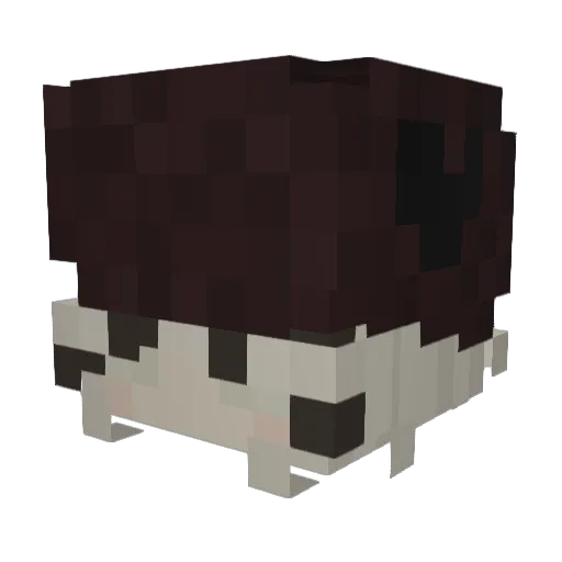 ndla Minecraft avatar head, 3D render
