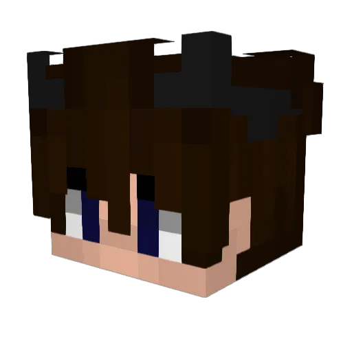 ndnn Minecraft avatar head, 3D render