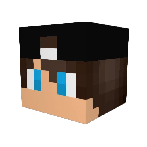 ndonadio1212 Minecraft avatar head, 3D render