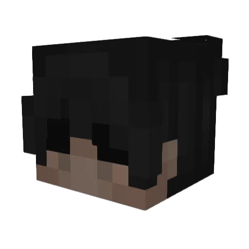 ndru Minecraft avatar head, 3D render