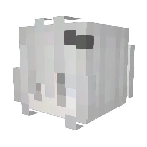 ndwi Minecraft avatar head, 3D render