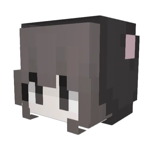 ndzztd Minecraft avatar head, 3D render
