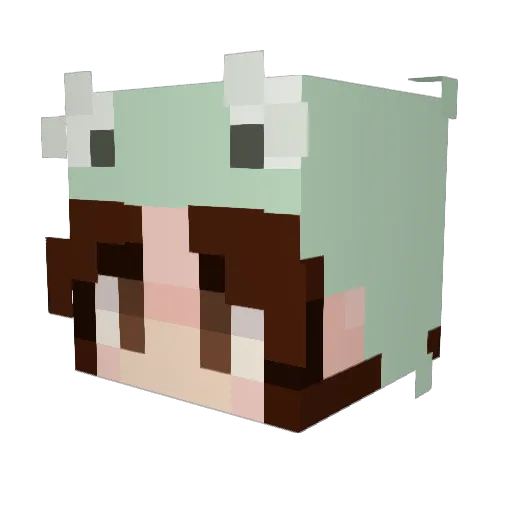 ne0zone Minecraft avatar head, 3D render