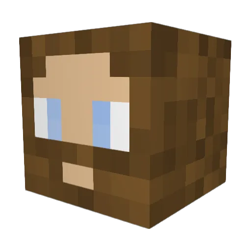 neS54 Minecraft avatar head, 3D render