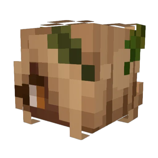 neaaa_wow Minecraft avatar head, 3D render
