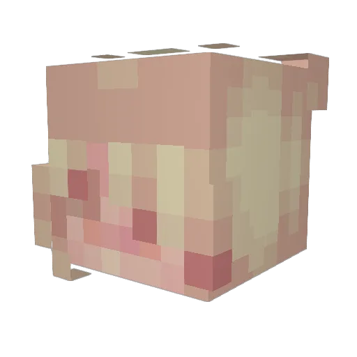 nearascendance Minecraft avatar head, 3D render